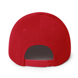 Design of North Islander - Snapback Hat , the colour is
