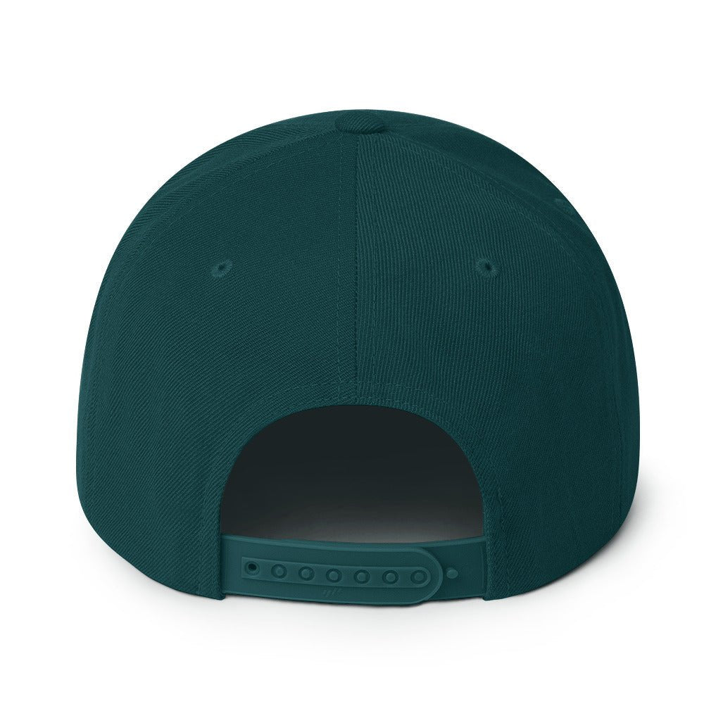 Design of North Islander - Snapback Hat , the colour is
