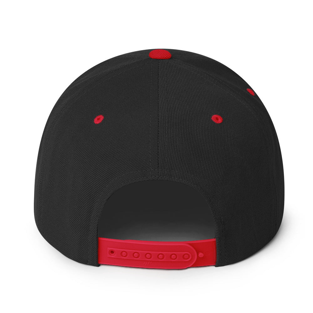 Design of North Islander - Snapback Hat , the colour is