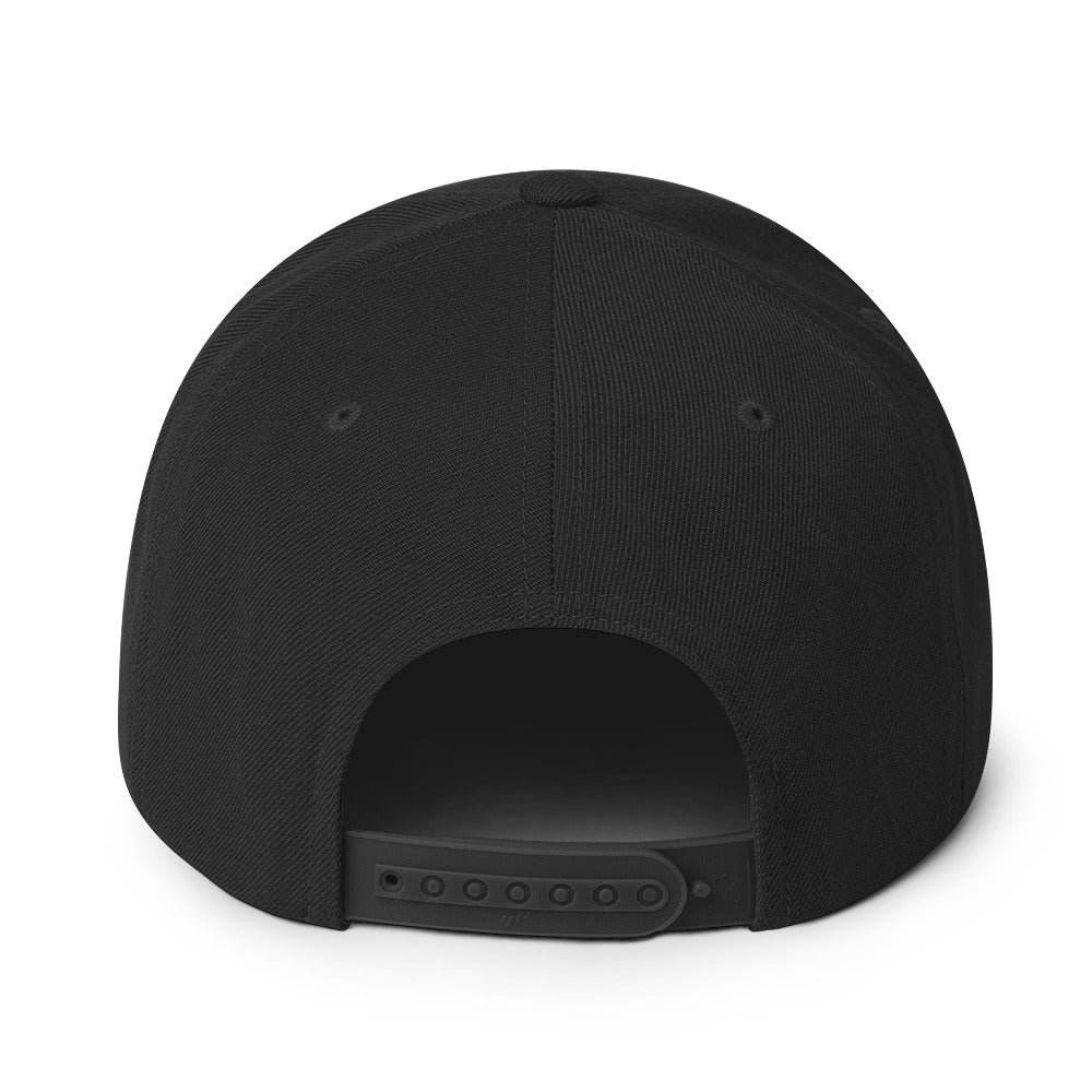 Design of North Islander - Snapback Hat , the colour is